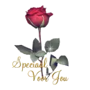 rose