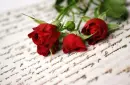 red rose