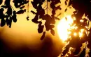 sun