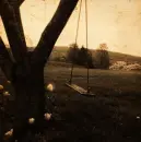swing