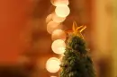 xmas tree