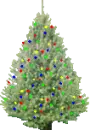 Åšwierk