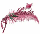 Pink feather-Linda