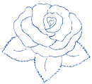 rosa