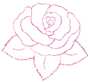 rosa