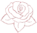 rosa