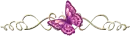 PurPle Butterfly