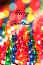 Rainbow Christmas Lights