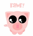 cute piggy