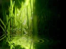 gras