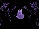 SPAKLING BUTTERFLY