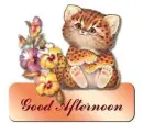 Good Afternoon