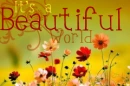 beautiful!
