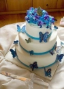 butterfly cake