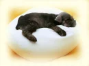 sleepy
