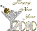 Happy New Year-2010
