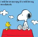 snoopy and woodstock