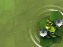 bubbles