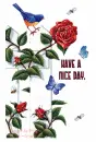 Nice day