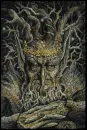wise tree elf
