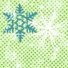 winter snowflake avatar