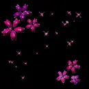 sparklin flowers