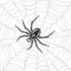 flashing spider strobe avatar