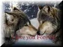 I Love You Forever
