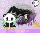 Panda fun :3