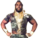 Mr T.