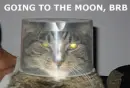Going to the moon