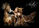 aletha horse