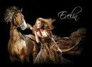 evelin horse