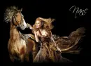 nanc horse