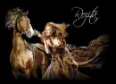 rozita horse