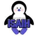 Baby Boy Penguin -Isiah-