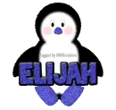 Baby Boy Penguin -Elijah-