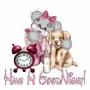 Have A Goodnight