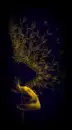 Fireflies Wing