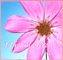 i dream of you
