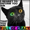 you are full of crazy cat