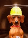 weinercopter