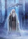 wizard in mist