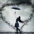 Bird heart