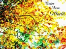 Color Your World