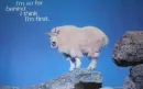 I'm so far behind I think I'm First