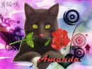 Names Â» Amanda