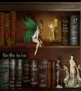 bookcase fairy