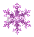 Purple Snowflake - Jessica