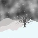 land im schnee